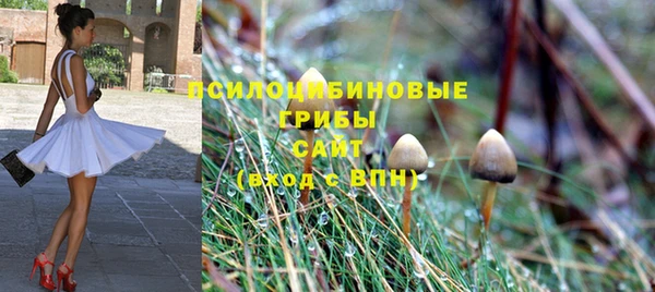 гидропоника Верхний Тагил